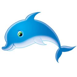dolfijnen-cat1