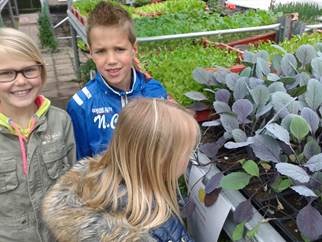 De sponsorloop en de schooltuin