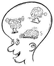 Spelling en keertafels (gr. 4 t/m 8)