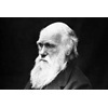 Sofiegroep 5 t/m 8; Darwin en de evolutietheorie
