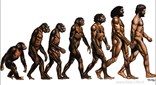 darwin 3