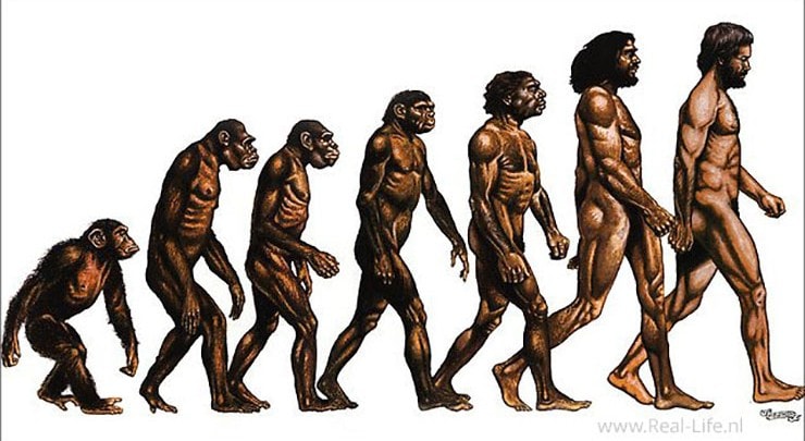 Sofiegroep 5 t/m 8; Darwin en de evolutietheorie - Kindcentrum Sint Jan