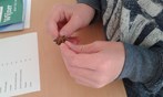 20160321_113145