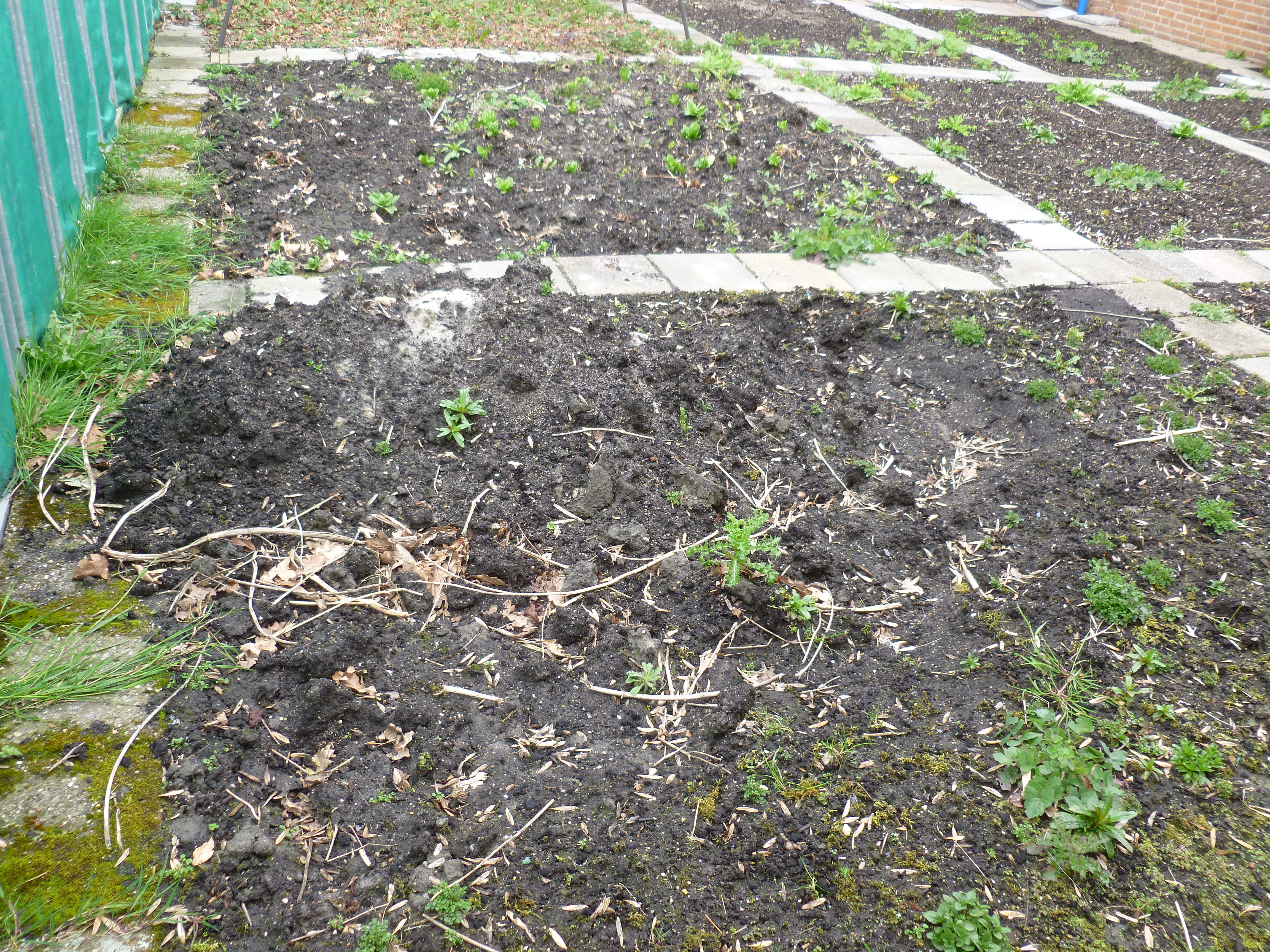 Schatgraven in de schooltuin!
