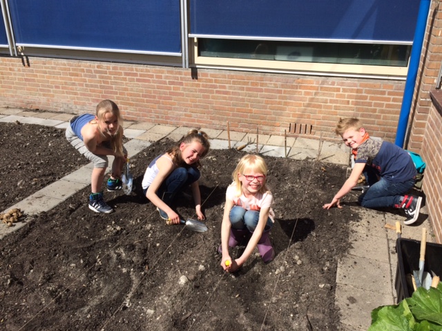 Schooltuinactiviteiten